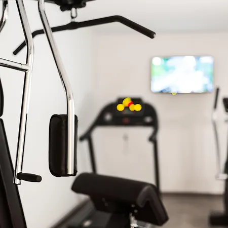 מלון Trezor סינגן