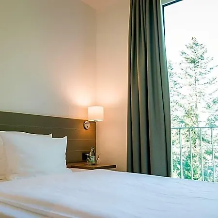 Hotel Trezor 3*